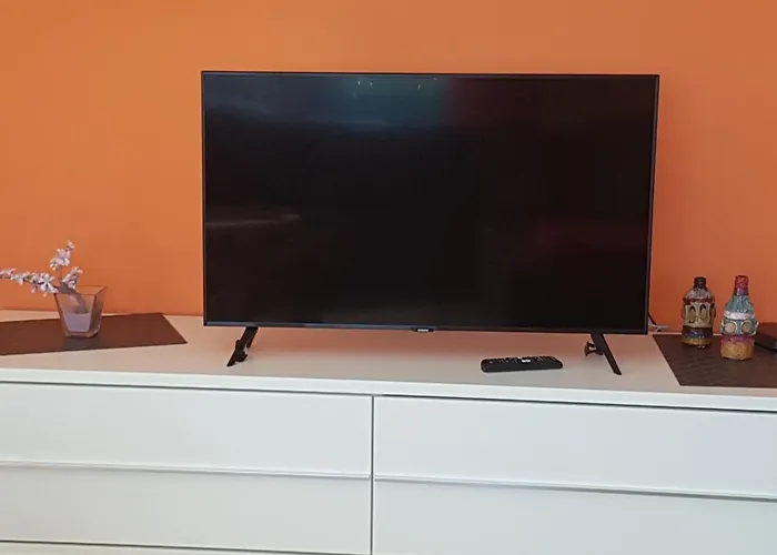 Baer * Schwäbisch Hall